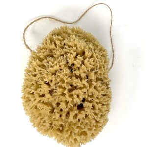 small natural ocean sponge natural sponges for bathing