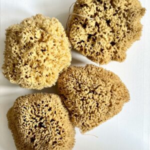 natural sea sponges
